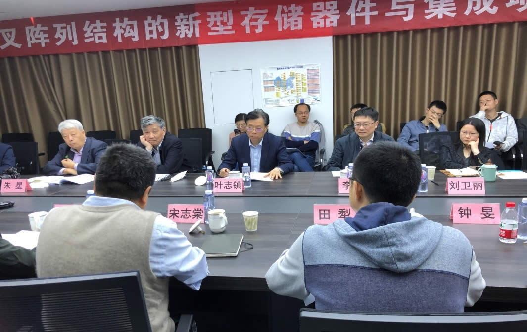 院士專家高度肯定項目階段性進展