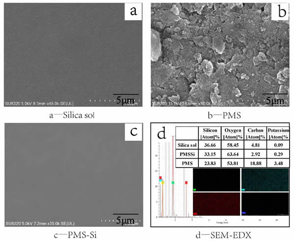 圖1_涂膜的SEM 與EDX 分析結果